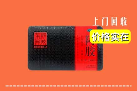 昔阳县回收阿胶