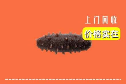 昔阳县回收海参