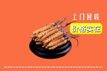昔阳县回收冬虫夏草