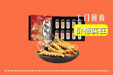 昔阳县回收虫草